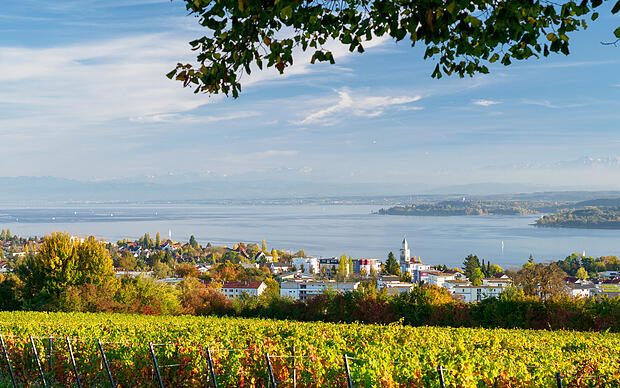 Panoramablick bei Überlingen am Überlinger See Überlinger See