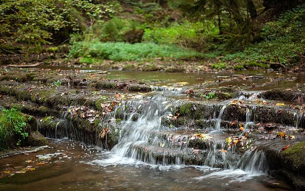 Premium- Fernwanderweg Wasserweltensteig Wasserweltensteig