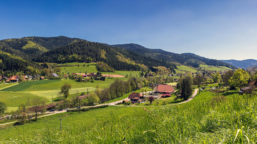 Blick auf das Gutachtal Blick auf das Gutachtal