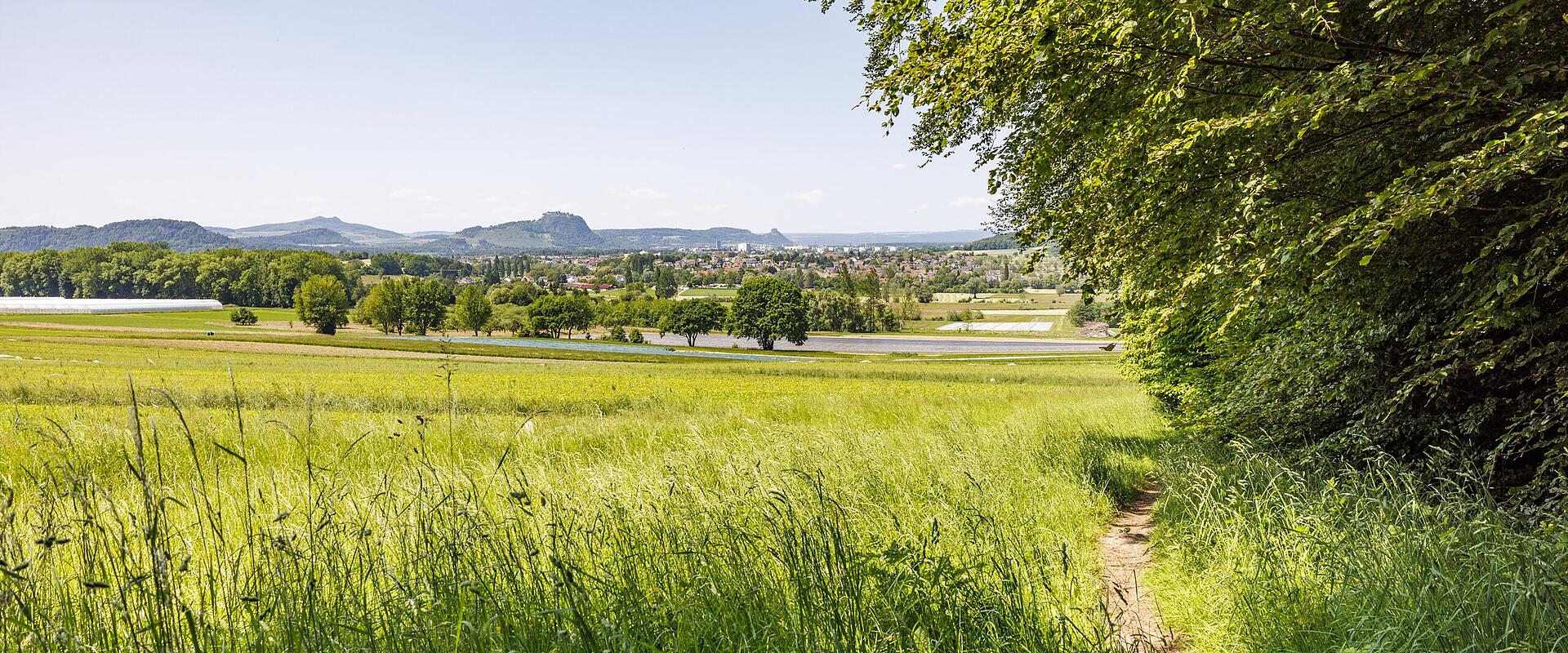 Premiumwanderung Albertine Steig