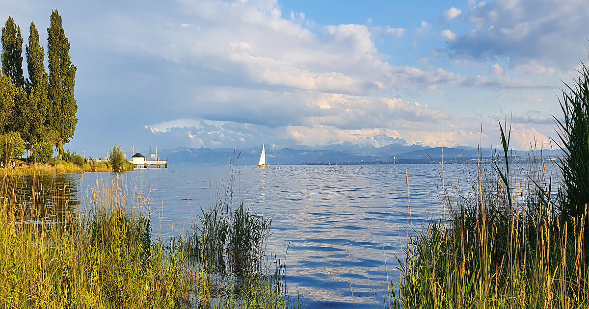 Camping in Immenstaad | bodenseeferien.de