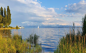 Camping in Immenstaad