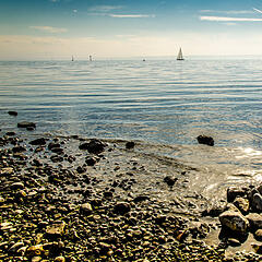 Blick auf den Bodensee vom Ufer in Immenstaad