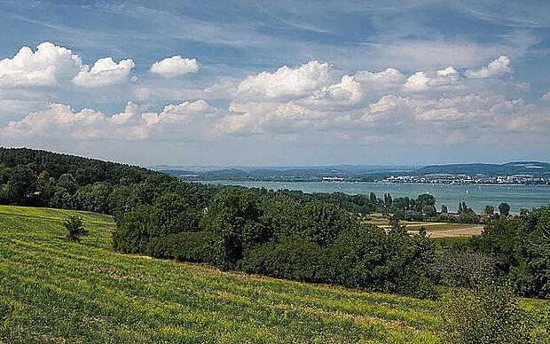 Panoramawanderung Insel Höri Höri