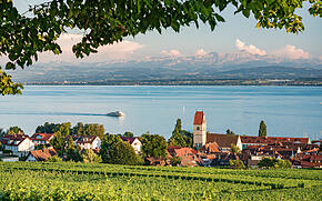 Blick auf Hagnau, den Bodensee und das Alpenpanorama aus den Weinbergen