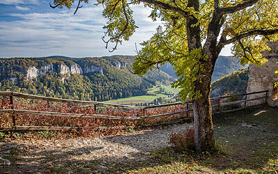 Paradiesischer Rundweg in der Quellregion Donau