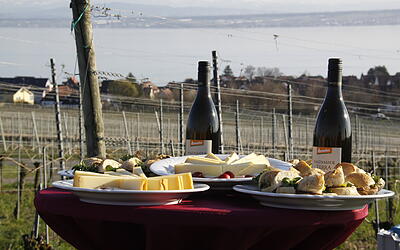 Obst- und Weinwanderwegfest Wein, Käse und weitere Snacks am Weinberg in Hagnau