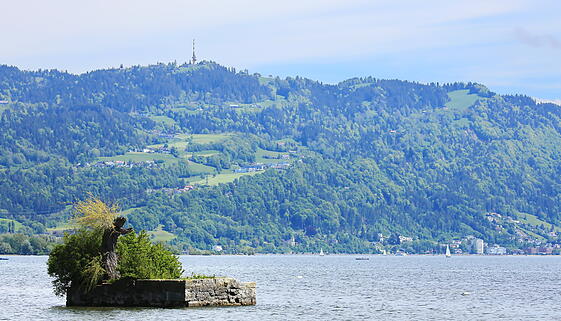 Insel Hoy bei Lindau - kleinste Insel des Bodensees