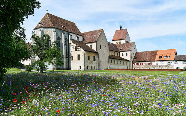 St. Georg Kirche und Blumenwiese auf der Insel Reichenau