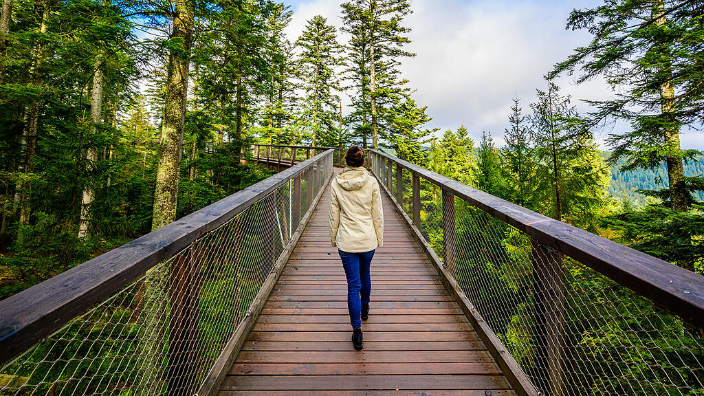 Frau läuft über Baumwipfelpfad in Sommerberg Frau läuft über Baumwipfelpfad in Sommerberg