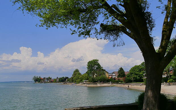 Naturstrand in Langenargen am Bodensee