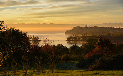 Goldener Herbst am Bodensee
