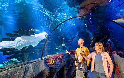 SEA LIFE Konstanz