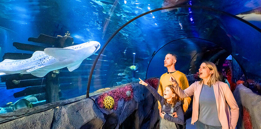 SEA LIFE Konstanz