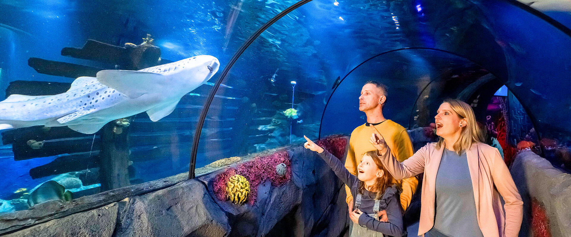 SEA LIFE Konstanz