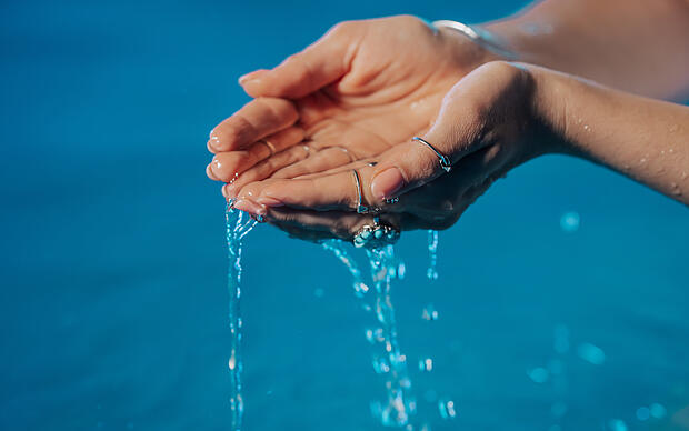 Wasserqualität des Bodensees