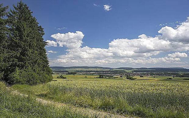 Brigach und Breg Bringen die Donau zuweg Bregtalweg