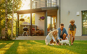 Ferienh&auml;user mit Hund